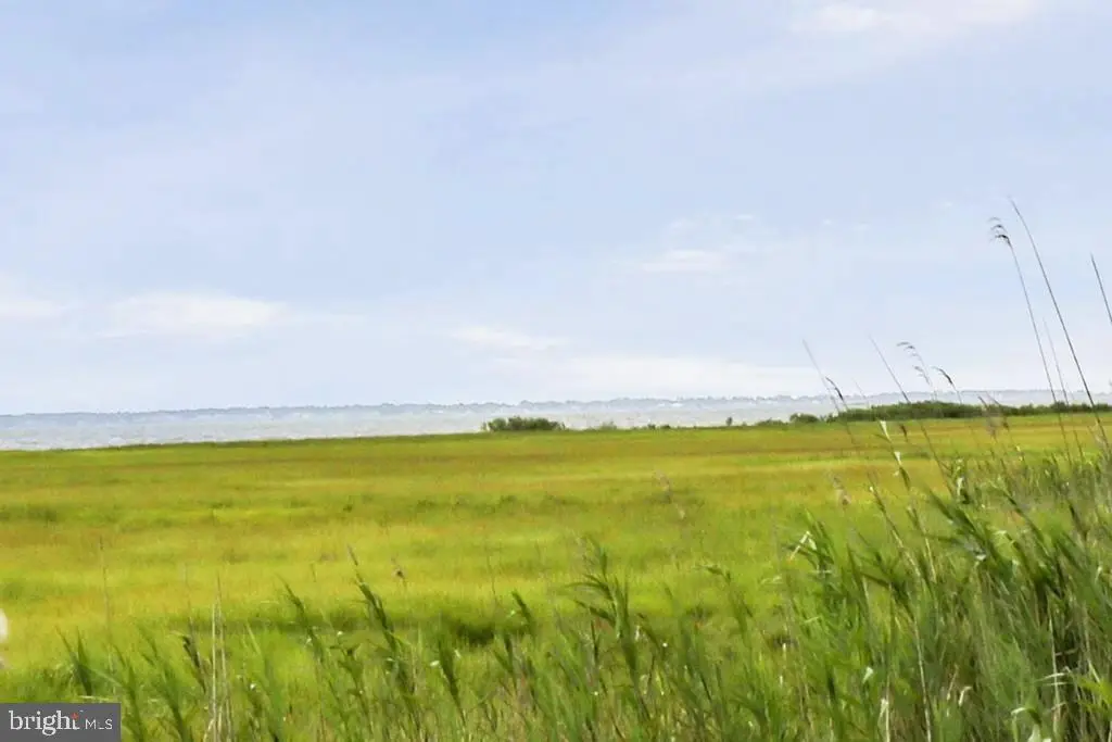 Lot 43 Neptune Dr, Greenbackville, VA 23356 - #1