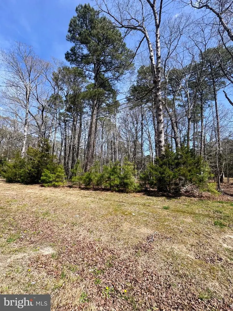 Lot 2553 Captains Cove Corridor, Greenbackville, VA 23356 - #2