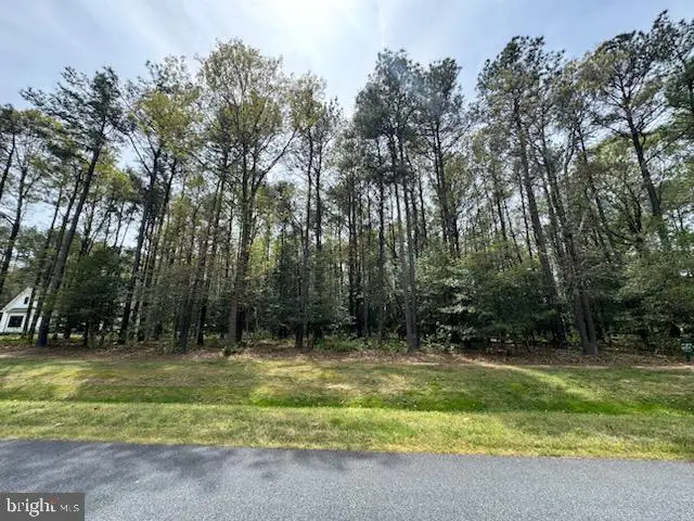Lot 94 Olde Mill Ln, New Church, VA 23415 - #1