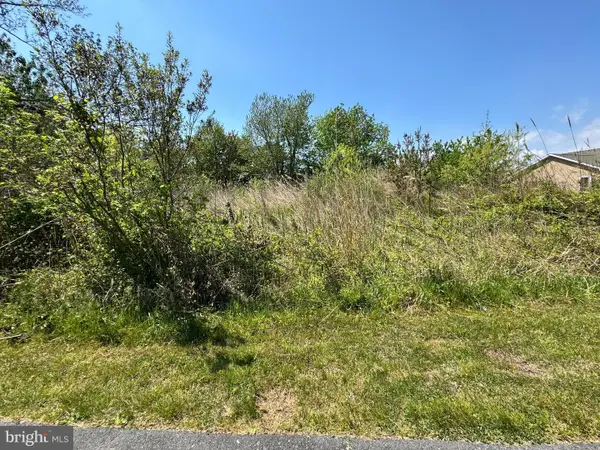 Lot 267 & 268 Wild Pony Ct, CHINCOTEAGUE ISLAND, VA 23336