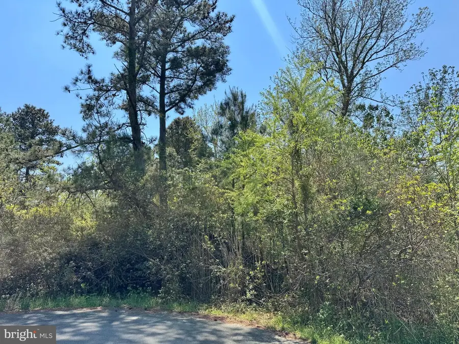 Lot 267 & 268 Wild Pony Ct, Chincoteague Island, VA 23336 - #3