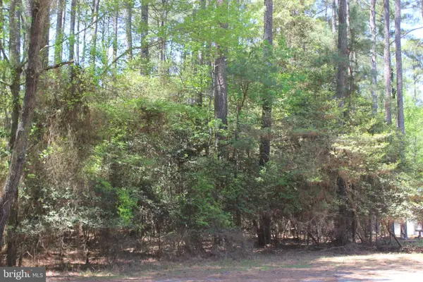 489 Dry Dock Ct, GREENBACKVILLE, VA 23356