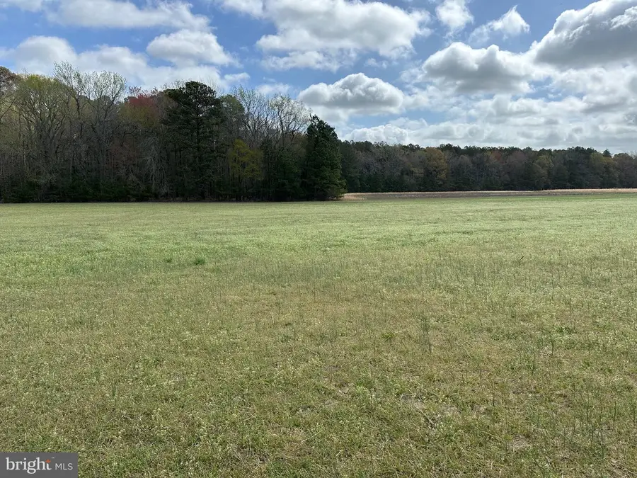 31379 Boggs Rd, Painter, VA 23420 - #3