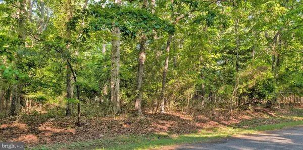 Lot 2466 Bounty Ct, GREENBACKVILLE, VA 23356