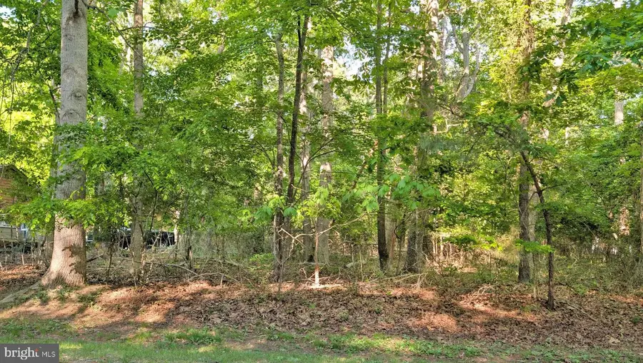 Lot 2466 Bounty Ct, Greenbackville, VA 23356 - #2