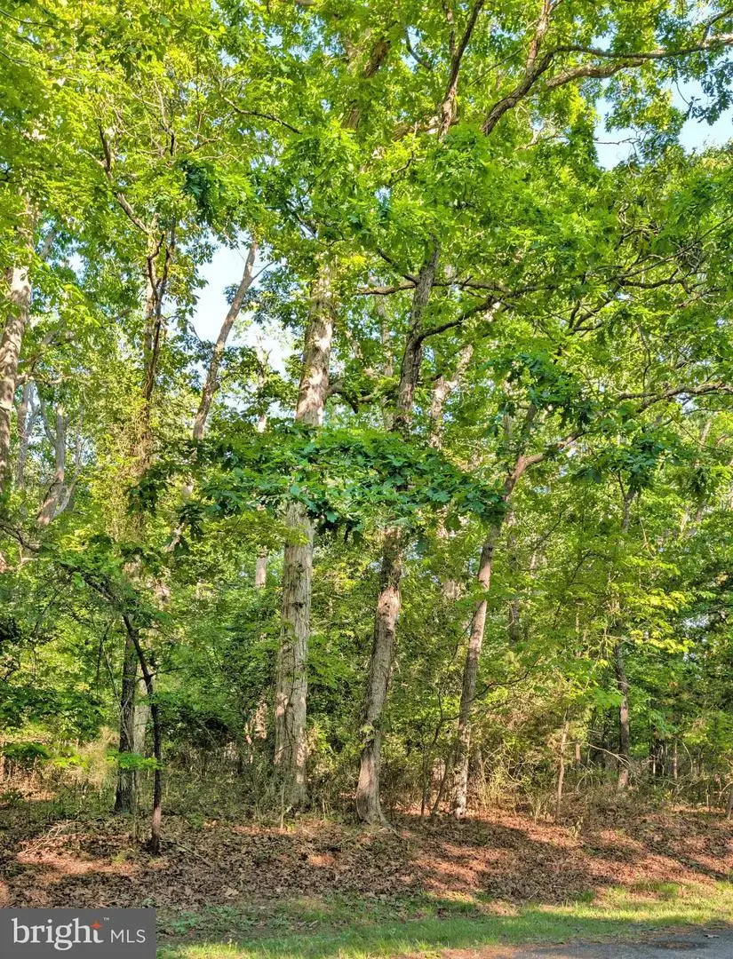 Lot 2466 Bounty Ct, Greenbackville, VA 23356 - #3