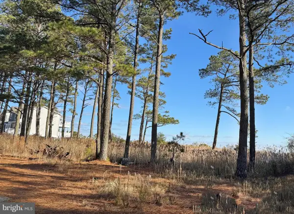 Lot 719 Castaway Dr, GREENBACKVILLE, VA 23356