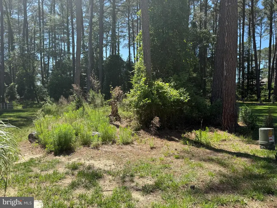 Lot #521 Dingy Court, Greenbackville, VA 23356 - #3