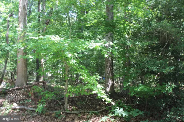 112 Custom Dr, GREENBACKVILLE, VA 23356