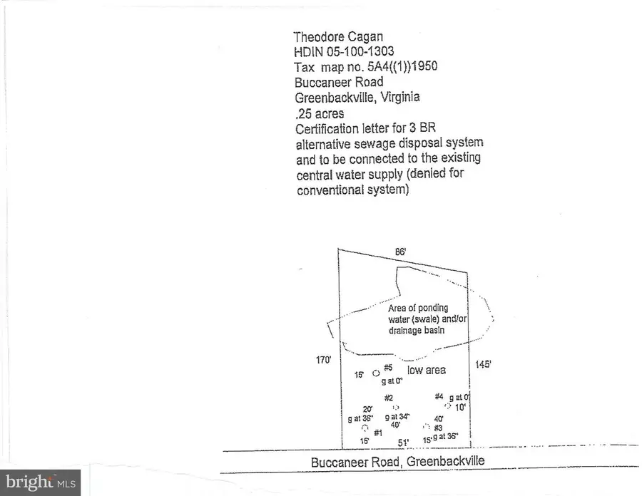 1950 Buccaneer Blvd, Greenbackville, VA 23356 - #2