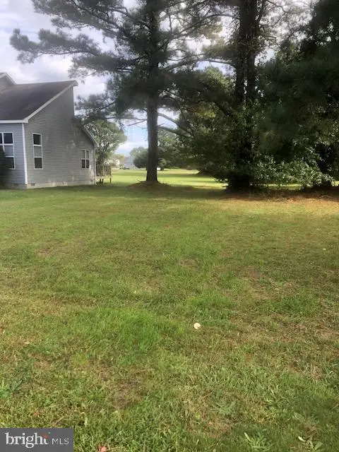 261 Pike Dr, Greenbackville, VA 23356 - #1