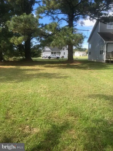 261 Pike Dr, Greenbackville, VA 23356 - #2