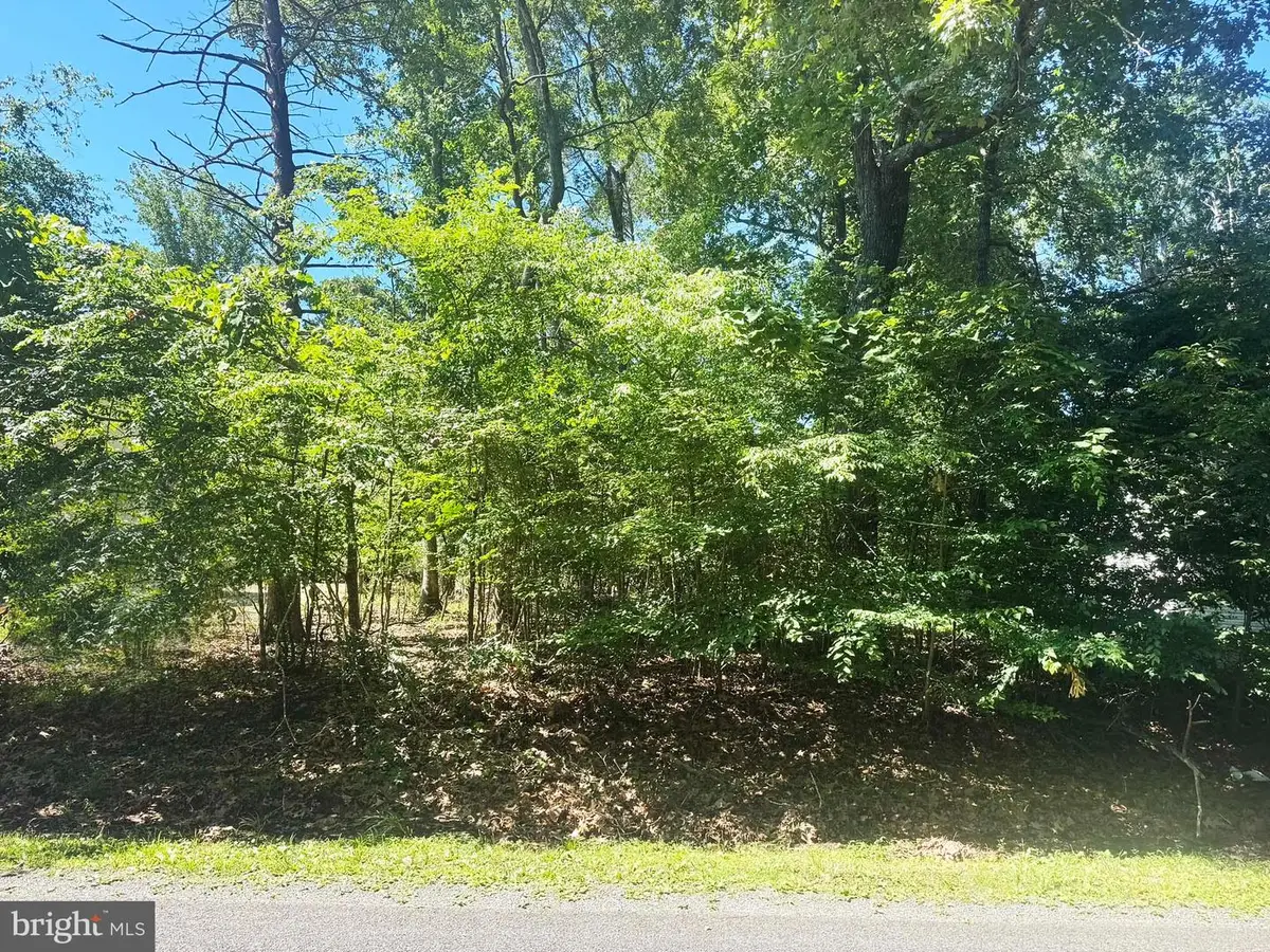 Lot 68 Brigantine Blvd, Greenbackville, VA 23356 - #1