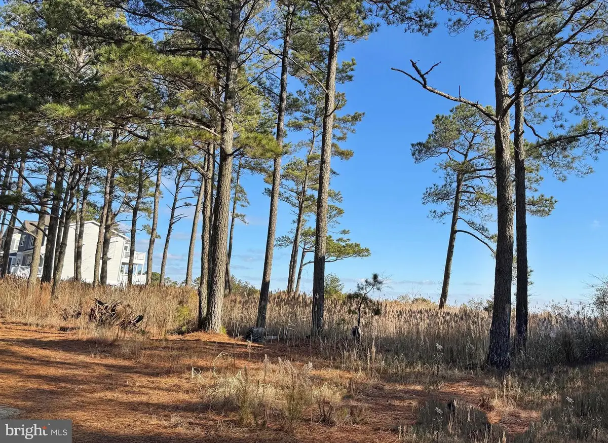 Lot 720 Castaway Dr, Greenbackville, VA 23356 - #1