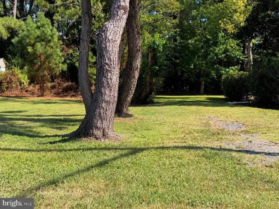 Part Of Lot 110 Tarr Ln, Chincoteague, VA 23336 - #2