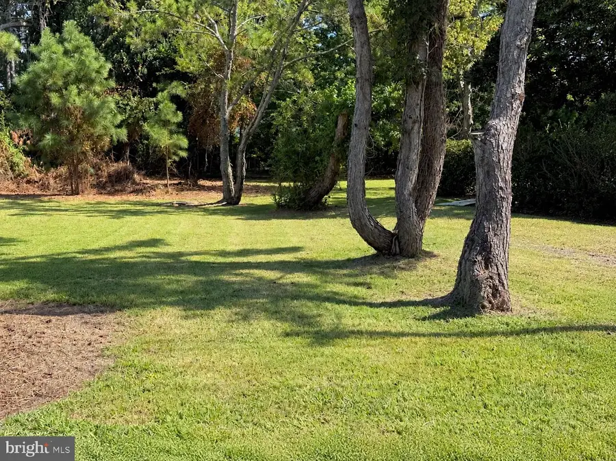 Part Of Lot 110 Tarr Ln, Chincoteague, VA 23336 - #3
