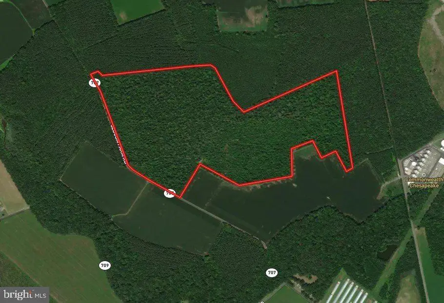 Slocom Farm Road, New Church, VA 23415 - #1
