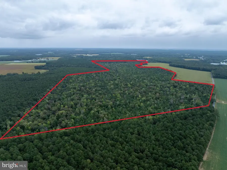 Slocom Farm Road, New Church, VA 23415 - #2
