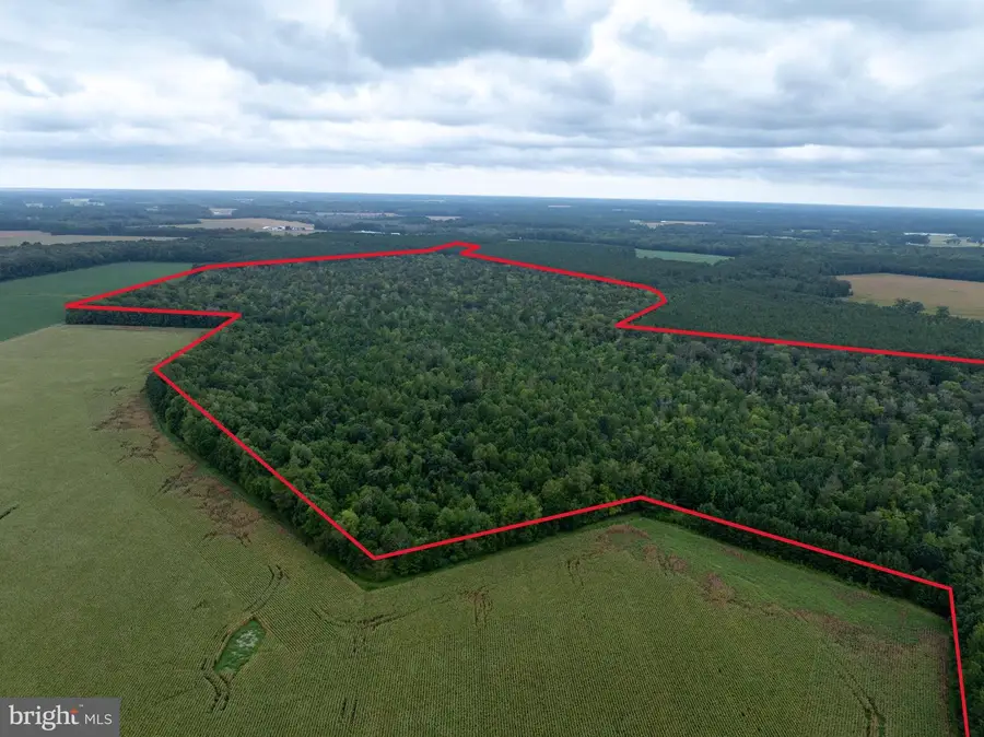 Slocom Farm Road, New Church, VA 23415 - #3