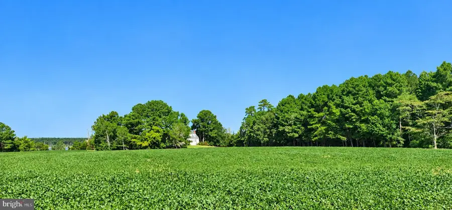 35257 Cats Point Ln, Quinby, VA 23423 - #3