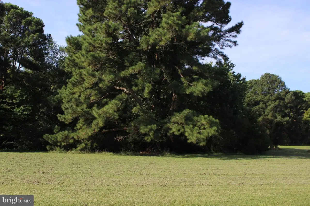 185 Davey Jones Blvd, Greenbackville, VA 23356 - #1
