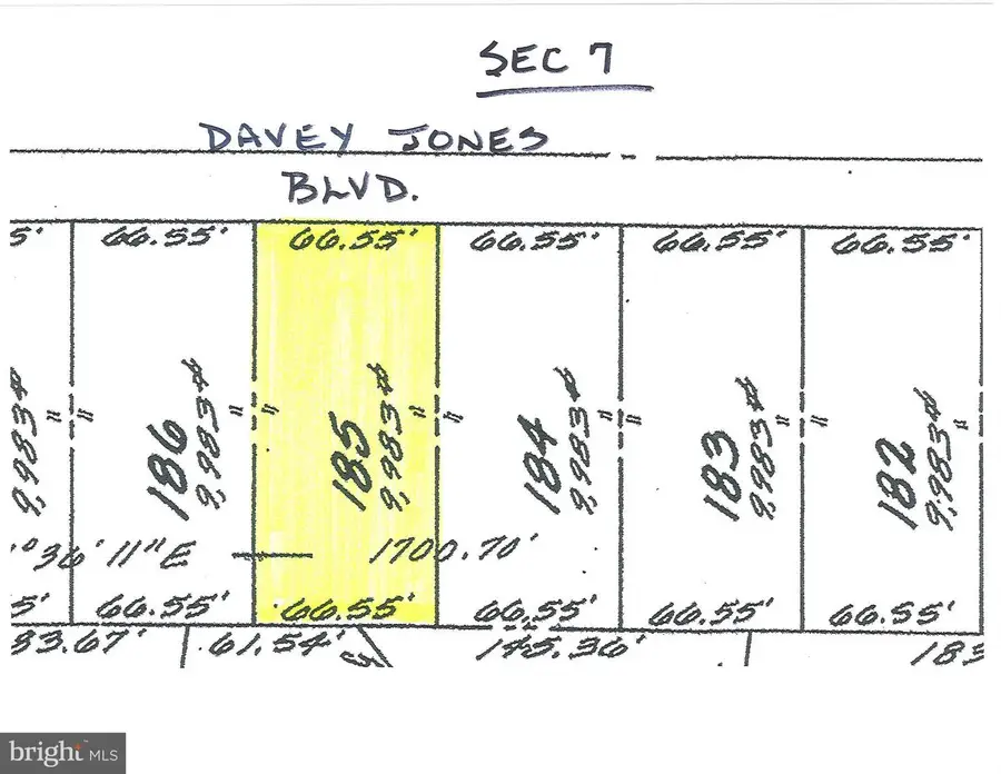 185 Davey Jones Blvd, Greenbackville, VA 23356 - #2