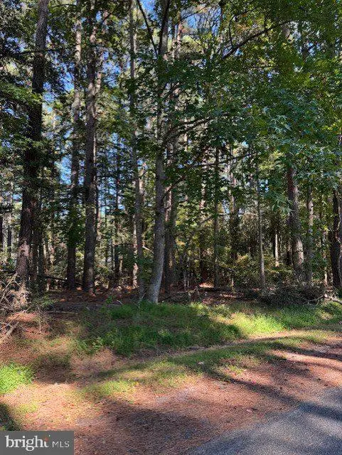 Lot 870 Broadside Dr, Greenbackville, VA 23356 - #2