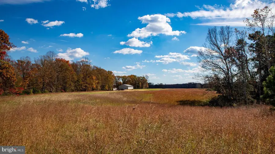 273 Airsports Dr, Amherst, VA 24521 - Image #3