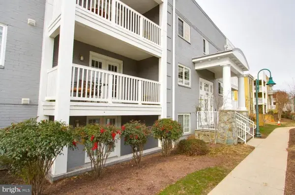 4163 S Four Mile Run Dr #301, ARLINGTON, VA 22204