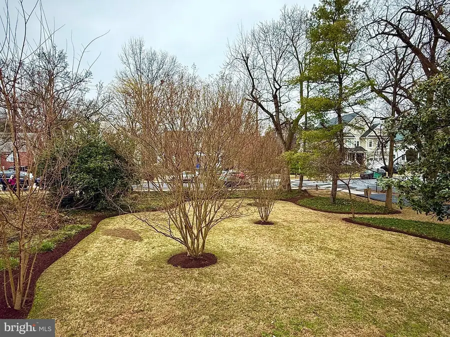 2116 N Ohio St, Arlington, VA 22205 - Image #2