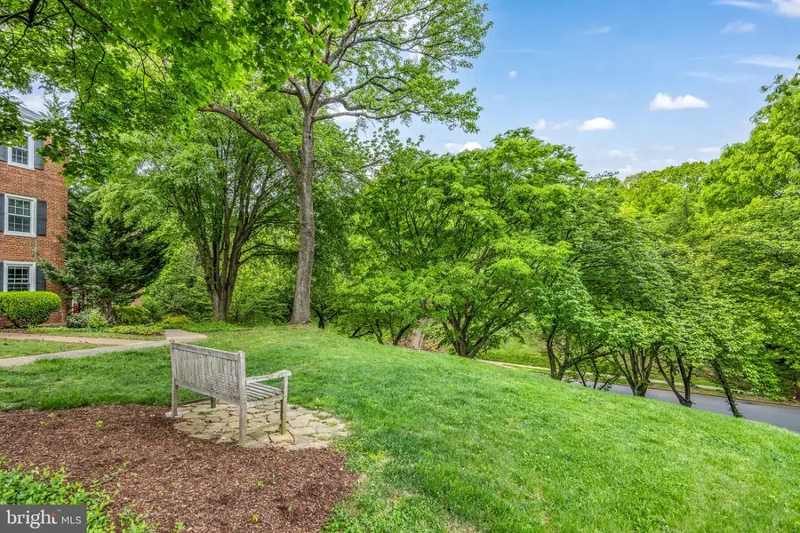 2800 S Abingdon St #b, Arlington, VA 22206 - #3