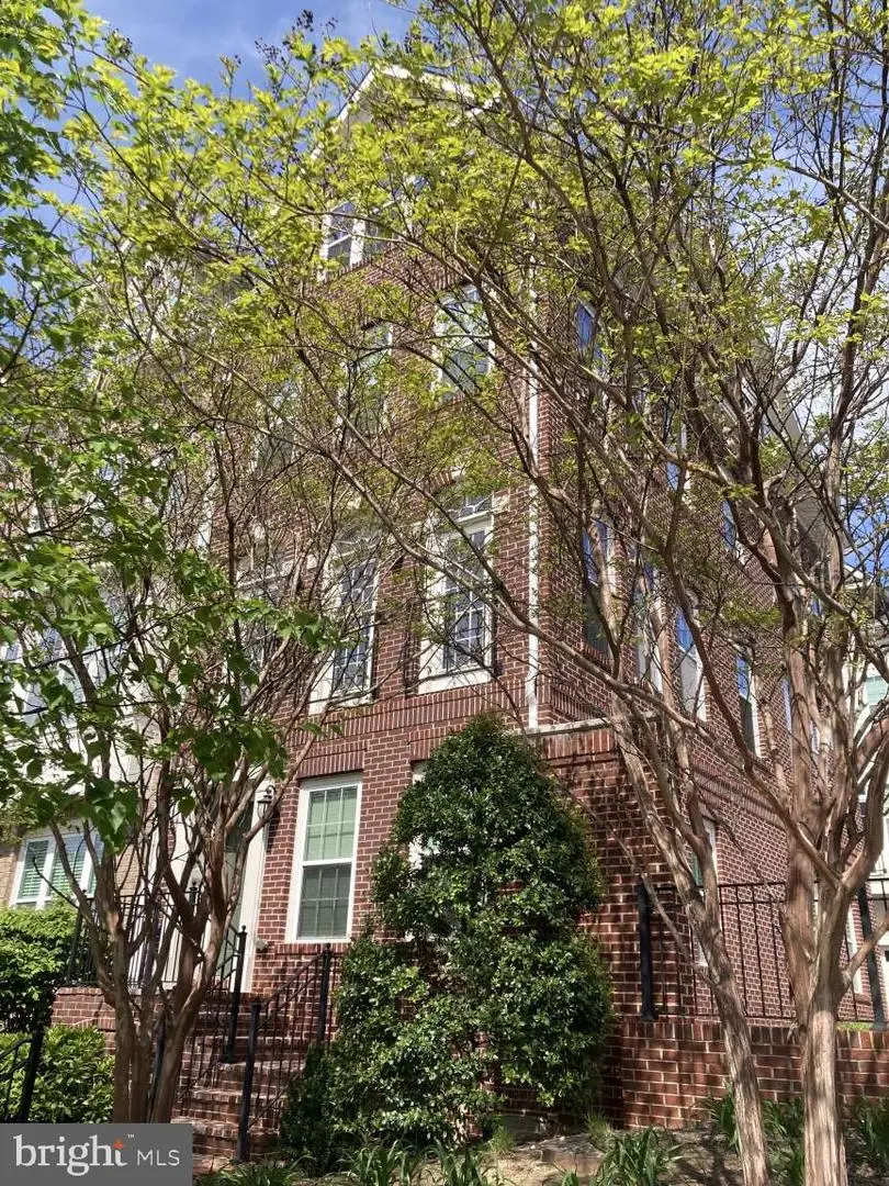 805 N Woodrow St, Arlington, VA 22203 - #1