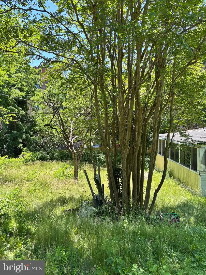 5023 S Chesterfield Rd, Arlington, VA 22206 - #3