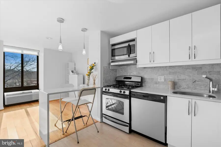 1510 12th St N #303, Arlington, VA 22209 - #2