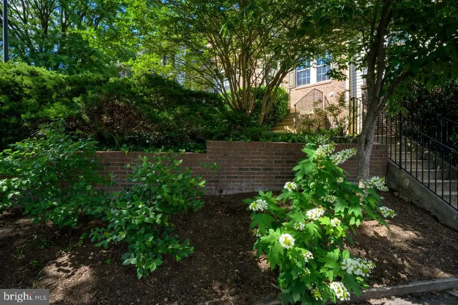 3019 22nd St S, Arlington, VA 22204 - #3