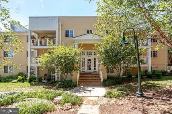 4141 S Four Mile Dr #203, ARLINGTON, VA 22204