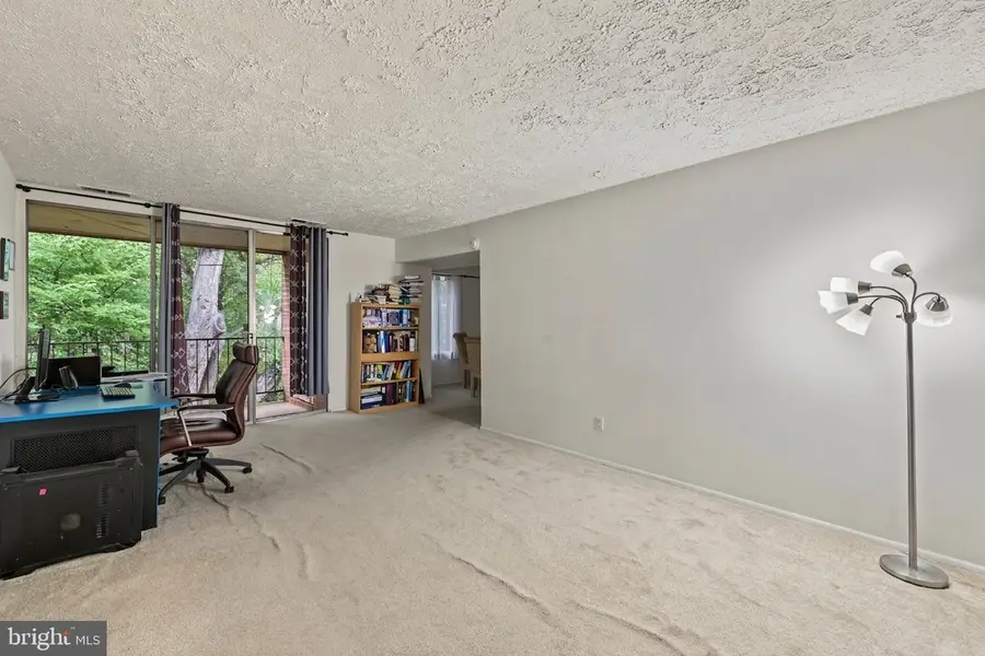 5049 7th Rd S #302, Arlington, VA 22204 - #3