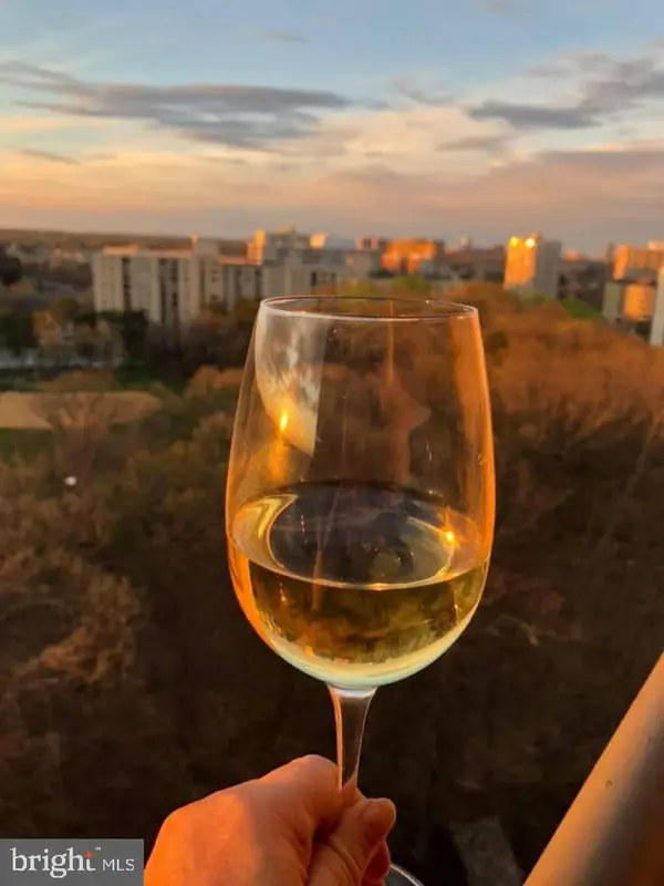 205 Yoakum Pkwy #1724, ALEXANDRIA, VA 22304