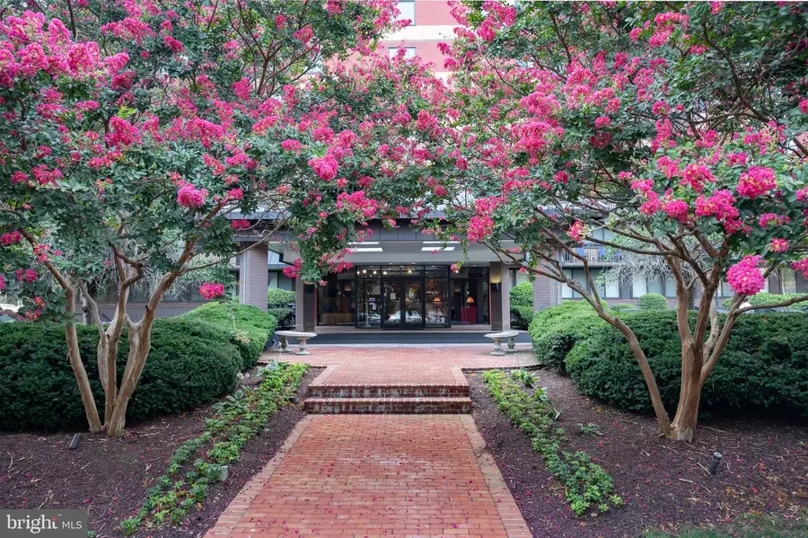 801 N Pitt St #1708, Alexandria, VA 22314 - Image #3