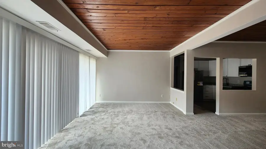 53 Skyhill Rd #301, Alexandria, VA 22314 - Image #3