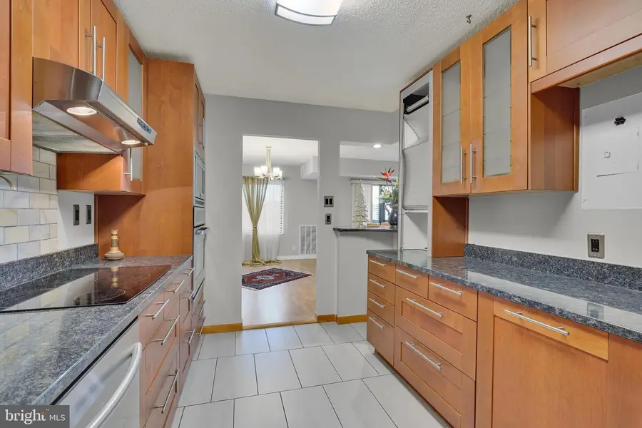 307 Yoakum Pkwy #609, Alexandria, VA 22304 - Image #3