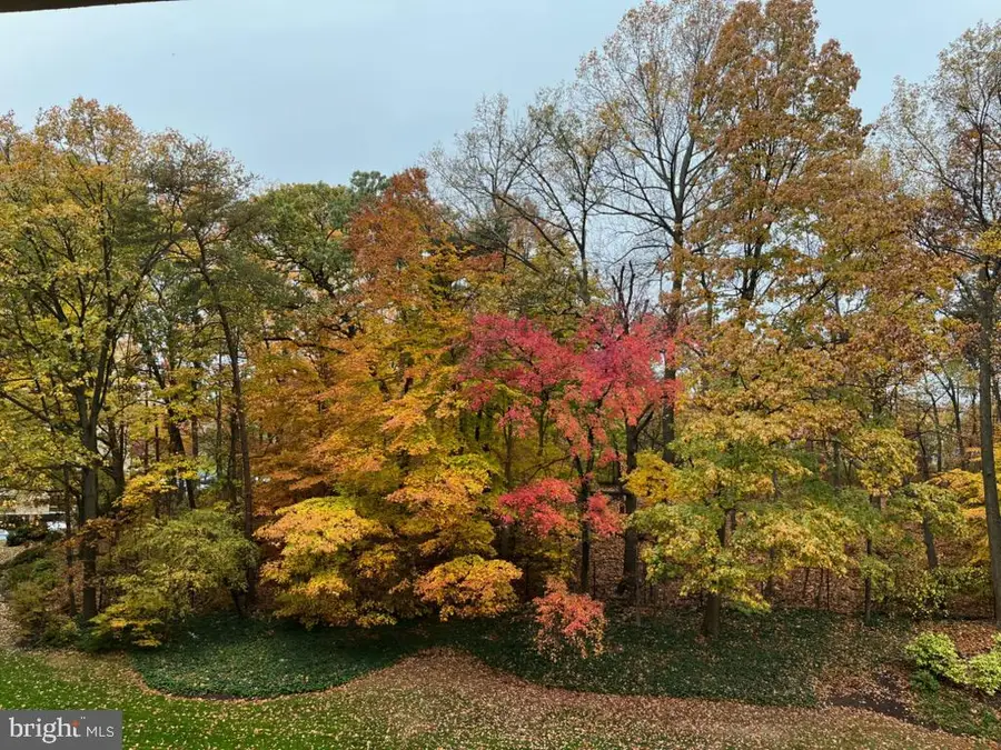 203 Yoakum Pkwy #507, Alexandria, VA 22304 - Image #2