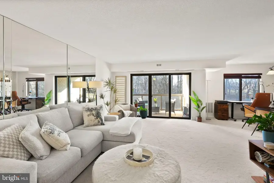 203 Yoakum Pkwy #507, Alexandria, VA 22304 - #3