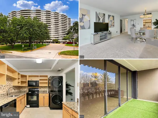 6301 Stevenson Ave #914, ALEXANDRIA, VA 22304