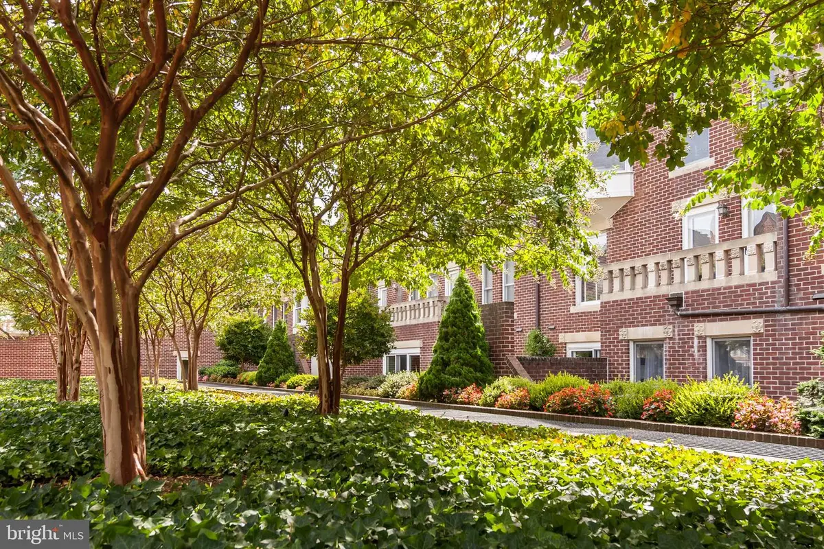 115 N Lee St #bh207, Alexandria, VA 22314 - Image #1