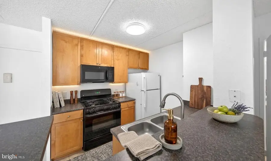 60 S Van Dorn St #413, Alexandria, VA 22304 - #3