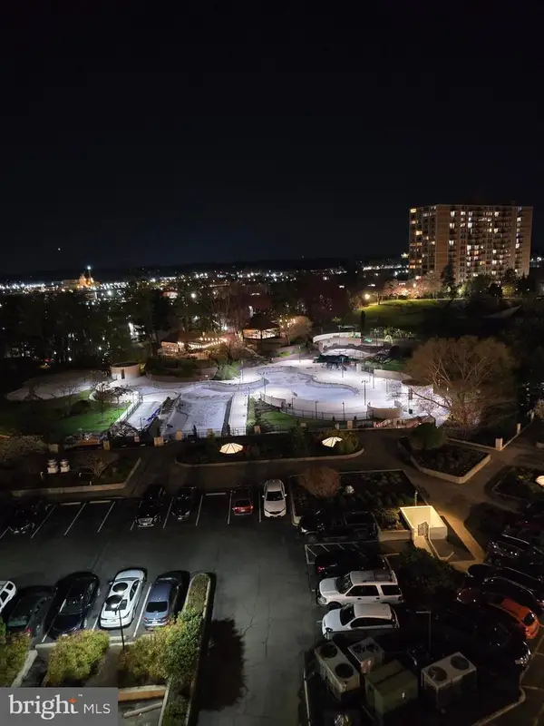 205 Yoakum Pkwy #817, ALEXANDRIA, VA 22304