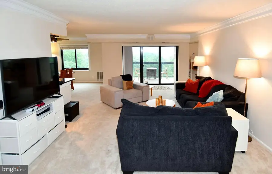 205 Yoakum Pkwy #1224, Alexandria, VA 22304 - #3
