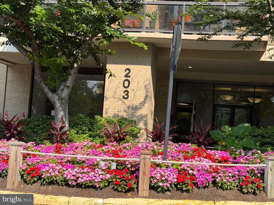 203 Yoakum Pkwy #920, Alexandria, VA 22304 - #2