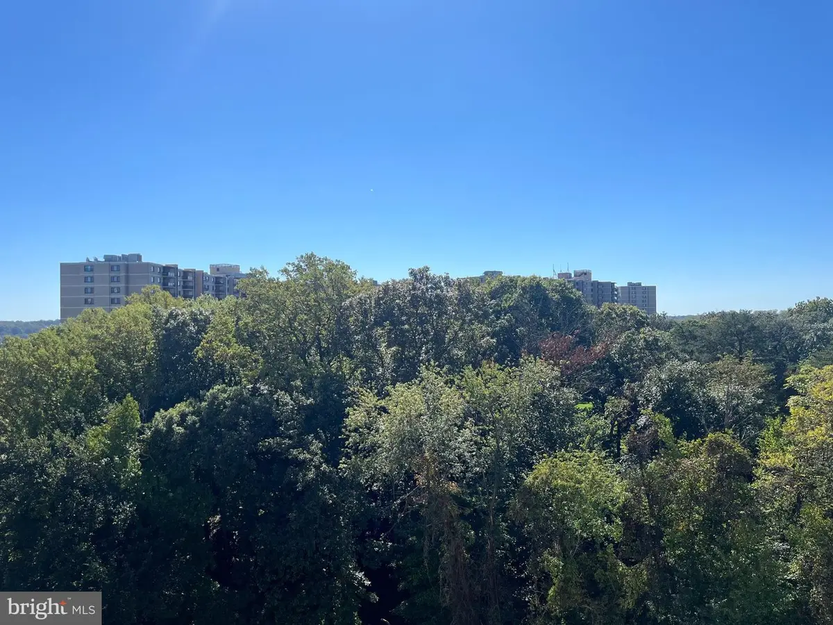 6300 Stevenson Ave #1009, Alexandria, VA 22304 - #1